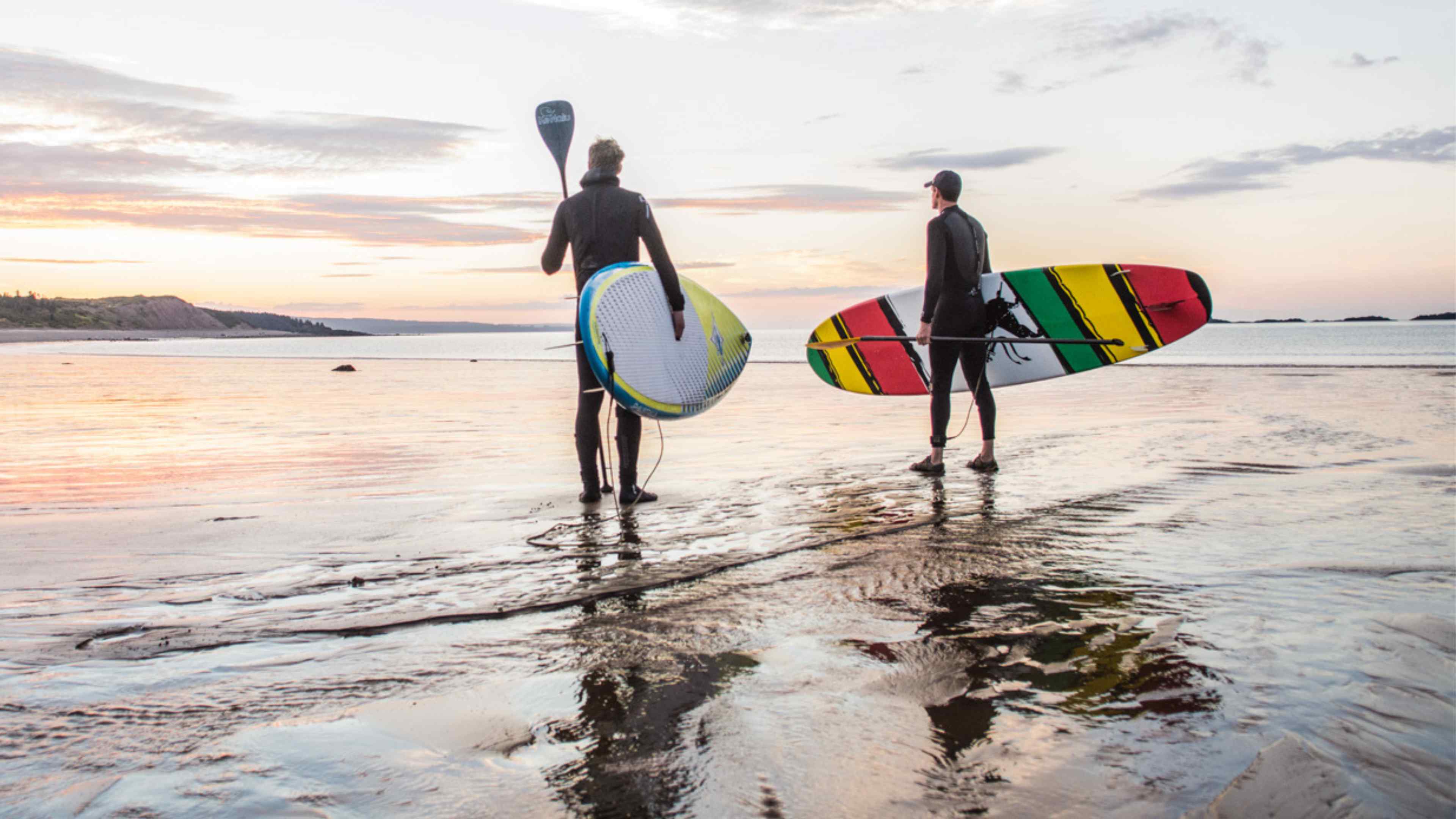 Paddle boarders standing in the ocean