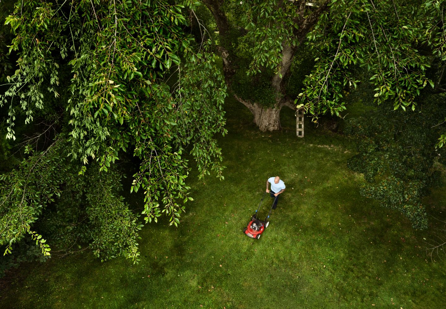 Aerial view of a person mowing a tree-lined backyard