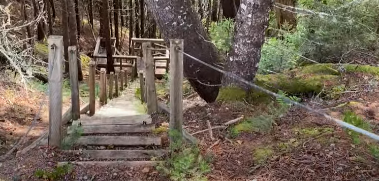 Cranberry Loop Staircase