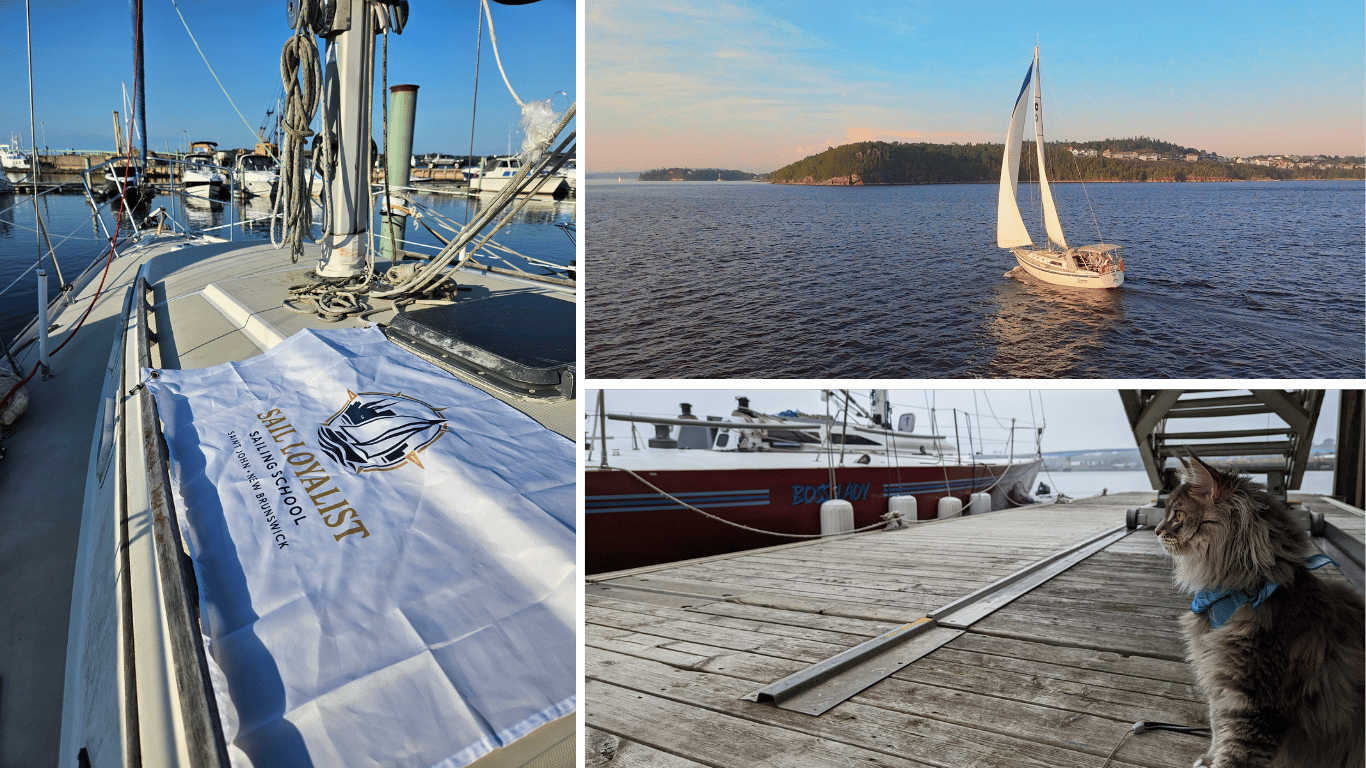 Sail Loyalist