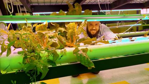 hydroponic farm